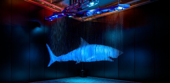 5630“On Sharks & Humanity” Sergisi,  Avustralya Ulusal Deniz Müzesi’nde  Açılıyor.