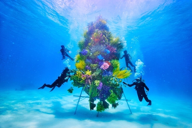 denizcitoplum|Japon Botanik Sanatçısı Makato’nun Son Yapıtı Deniz Tabanına Yerleştirildi.