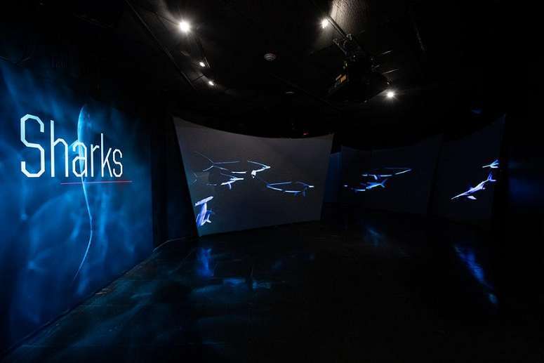16586Amerikan Doğa Tarihi Müzesi’nde Açılan “Köpekbalıkları” Sergisi, Bu Yırtıcı Balık Türünü Çok Yönlü Olarak Ele Alıyor.