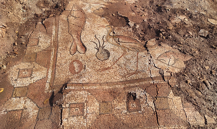 Mardin'de Roma Dönemi Konutu Zemininde Gerçekleştirilen Kurtarma Kazısında Deniz Canlılarının Betimlendiği Mozaiklerle Karşılaşıldı.