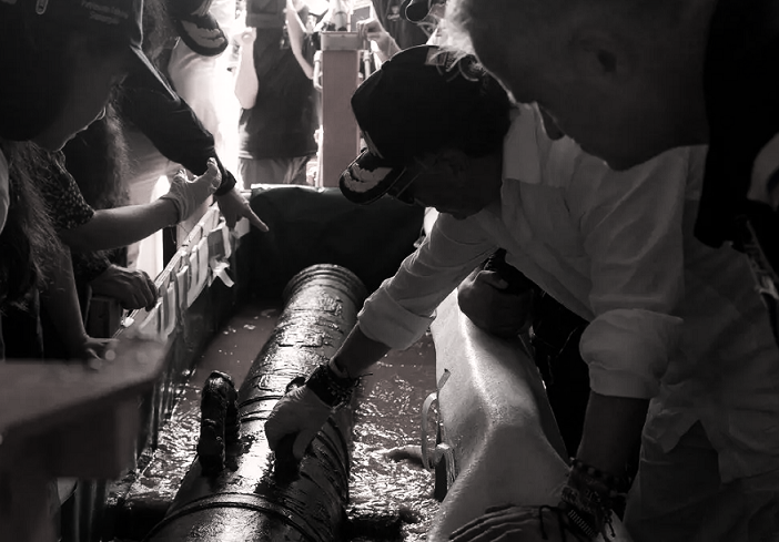 Efsanevi Batık San Jose Kalyonunun Taşıdığı Hazinenin İlk Parçaları Kolombiya'lı Bilim İnsanları Tarafından Çıkarıldı.