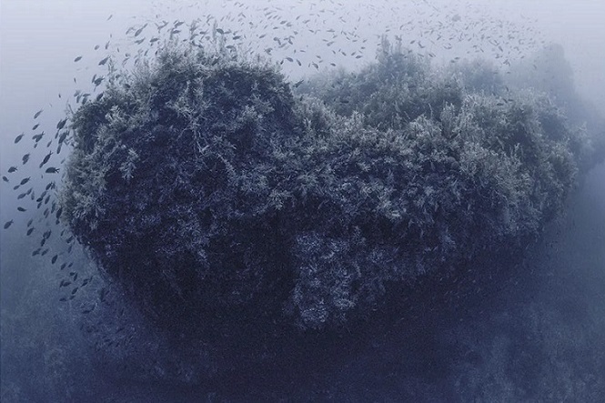 22728C. Cogitore’nin Mucem’de Açılan “Geçici Ada” Başlıklı Sergisi, Volkanik Etkinlik Sonucu Ortaya Çıkıp, Kısa Süre Sonra Sulara Gömülen Ferdinandea Adası’nın Konu Alıyor.