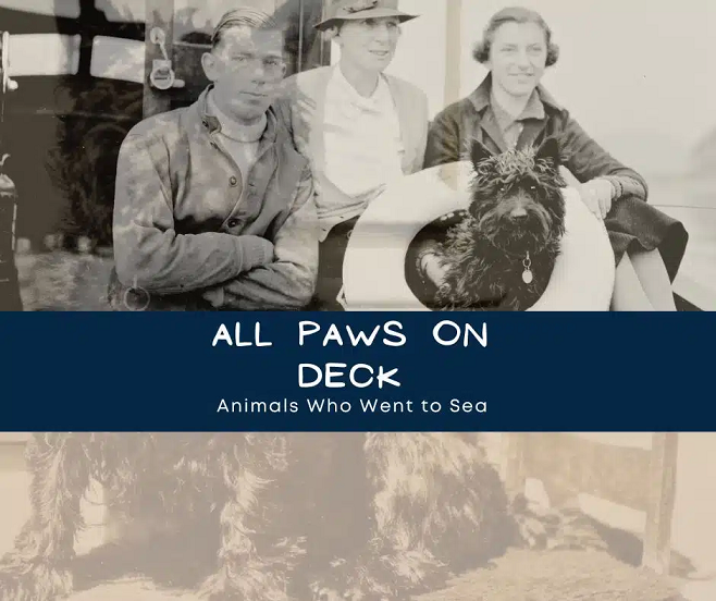 İskoç Deniz Müzesi'ndeki 