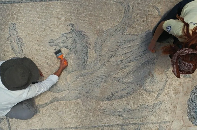 23427Tralleis Antik Kenti’nde Sürdürülen Kazı Çalışmalarında Denizler Tanrısı Poseidon’un Söylencesel Yaratığı “Hippokampos”un Betimlendiği Mozaik Bulundu.